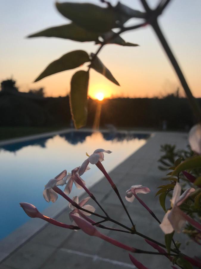 Le Mas De La Source Bed & Breakfast Mougins Exterior foto